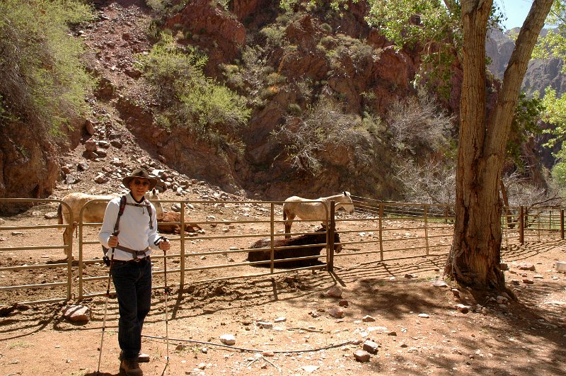 Grand Canyon April 2011_0382.jpg
